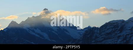 Mount Schreckhorn bei Sonnenuntergang, Grindelwald. Stockfoto