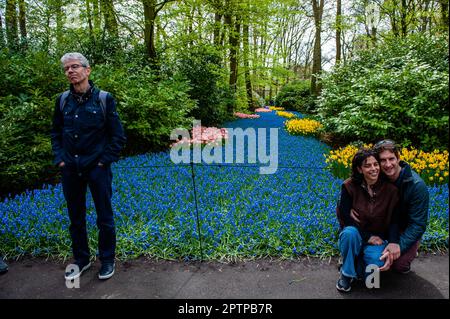 23. April, Lisse. Keukenhof ist auch bekannt als der Garten Europas, einer der weltweit größten Blumengärten und befindet sich in Lisse, den Niederlanden. Zusätzlich zu den Millionen Tulpen, Narzissen und Hyazinthen im Park sind die Blumenshows in den Pavillons größer und schöner geworden. Bis zum 14. Mai 2023 werden voraussichtlich weit über 1 Millionen Menschen aus der ganzen Welt die Ausstellung besuchen. Damit leistet der Keukenhof einen wichtigen Beitrag für den niederländischen Tourismus- und Blumenzuchtsektor. Stockfoto