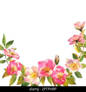 Rosehip-Rahmen. Blumen, Blätter und Früchte wilder Rosen. Briar, Aquarellmalerei zur Dekoration. Stockfoto