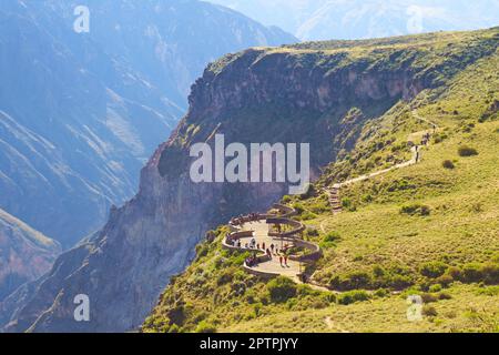 Aus der Vogelperspektive können Besucher die Andenkondore vom Balkon des Colca Canyon, Arequipa, Peru, Südamerika beobachten Stockfoto