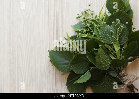Ein Haufen wunderschöner Lindenpflanzen auf einem weißen Holztisch, Blick von oben. Platz für Text Stockfoto