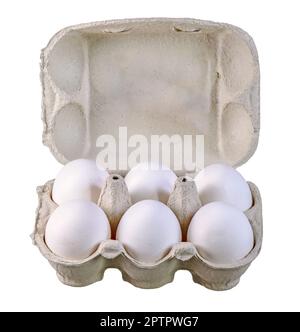 Nahaufnahme einer isolierten Eierbox mit weißen Bio-Eiern Stockfoto