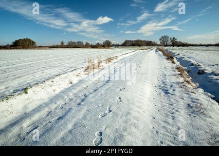 Fußspuren auf einer schneebedeckten Straße zwischen den Feldern, Winter sonniger Tag Stockfoto