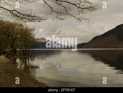 Firkin Point, Loch Lomond, Schottland Stockfoto