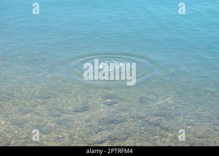 Runde Wassertropfen über den Kreisen auf dem Wasser. Wassertropfen, Wirbeln und Spritzen. Wellen auf dem Hintergrund des Meerestextur-Musters. Stockfoto