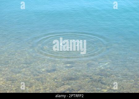 Runde Wassertropfen über den Kreisen auf dem Wasser. Wassertropfen, Wirbeln und Spritzen. Wellen auf dem Hintergrund des Meerestextur-Musters. Stockfoto