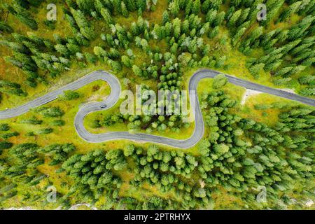 Berühmte Snake Road, umgeben von Wäldern und Herbstwiesen des Giau Pass. Sightseeing Auffahrt Serpentine für Autos in den Alpen Stockfoto