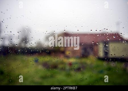Regentropfen an einem nassen Tag in East Yorkshire Stockfoto
