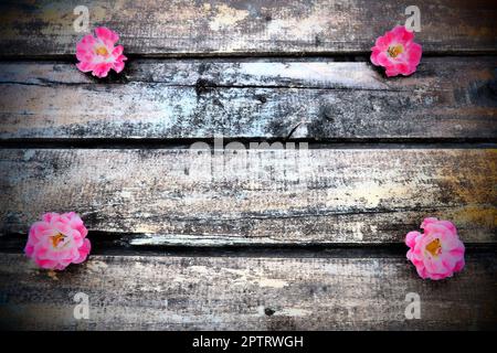 Knospen aus rosa Frottrosen auf Holzhintergrund. Vier schöne Rosen liegen auf dem Tisch in den Ecken. Speicherplatz kopieren. Geben Sie Platz für Text frei. Stockfoto