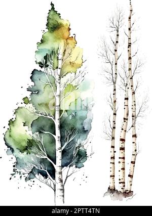 Aquarell Birkenbäume Russland Baum Designelement für Tapeten, Website Hintergrund Vektordarstellung. Stock Vektor