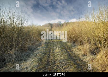 Verschwindende Schotterstraße, die Anfang des Frühlings durch Sumpfland führte, Dänemark. Sumpfiges Land und Feuchtgebiet gegen einen wolkenbedeckten Himmel in der Natur. Nass und schlammig Stockfoto