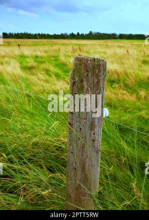 Holzpfosten und Elektrozaun auf abgelegenen Feldern, Wiesen auf dem Land während des Tages. Zäune dienen als Grenze zum Schutz von Nutztieren vor escapi Stockfoto