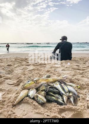 Mauretanien, Nouakchott, Fischermarkt Stockfoto