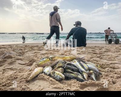 Mauretanien, Nouakchott, Fischermarkt Stockfoto