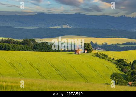 Windmühle in Chvalkovice, Südmähren, Tschechische Republik Stockfoto