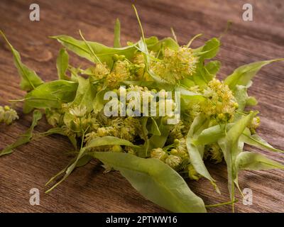 Ein Haufen Lindenblumen und Blätter auf einem Holztisch für Linden Kräutertee - Kräutertherapie und natürliche medizinische Behandlung. Hochwertiges Foto Stockfoto