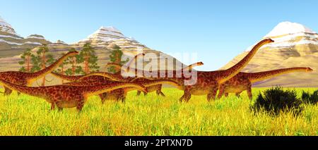 Diplodocus war ein pflanzenfressender Sauropod-Dinosaurier, der während der Jurassezeit in Nordamerika lebte. Stockfoto