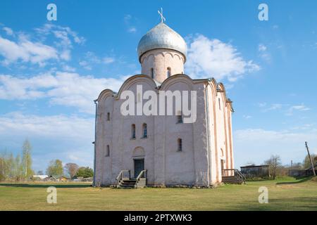 Mittelalterliche Kirche der Verklärung des Erlösers auf Nereditsa an einem sonnigen Apriltag. Stadtviertel Veliky Novgorod, Russland Stockfoto