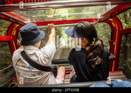 Eisenbahnwagen Blue Mountains, Australien. Stockfoto