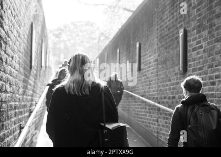 London, UK, 25. April 2023: An der U-Bahn-Station Pimlico gehen Menschen die Rampe hinauf, um die Station auf dem Weg zur Arbeit oder Schule zu verlassen. Sonnenschein strahlt auf sie herab und Frühlingsblätter auf einem Baum sind in der Ferne zu sehen. Anna Watson/Alamy