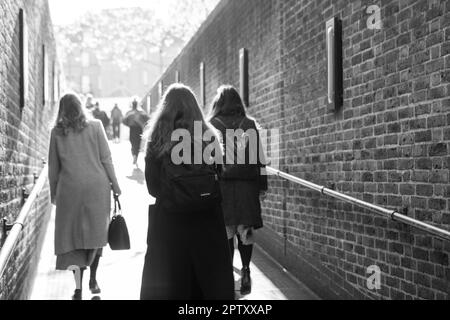 London, UK, 25. April 2023: An der U-Bahn-Station Pimlico gehen drei Frauen die Rampe hinauf, um die Station auf dem Weg zur Arbeit zu verlassen. Sonnenschein strahlt auf sie herab und Frühlingsblätter auf einem Baum sind in der Ferne zu sehen. Anna Watson/Alamy Stockfoto