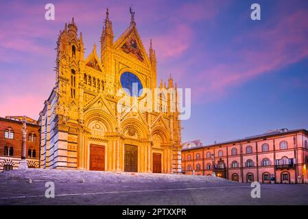 Siena, Italien. Malerische Toskana mit atemberaubender Fassade und campanile des Duomo di Siena, beleuchtet am Morgen Stockfoto