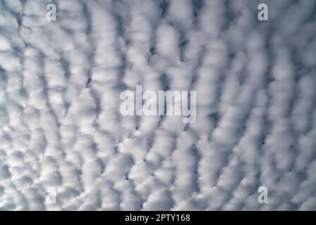 Weiße Makrelen Wolken am blauen Himmel bei Tageslicht Stockfoto