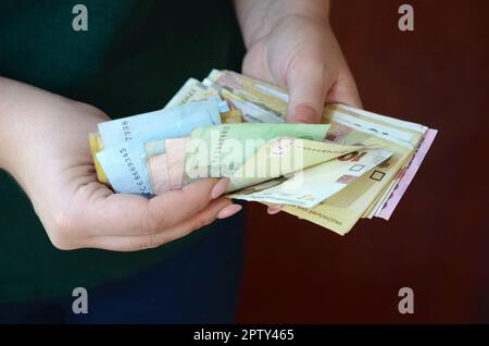 Weibliche Hände zählt grosse Menge der ukrainischen Geld während der vergütungszeitraum in der Ukraine. Reiches leben Konzept Stockfoto