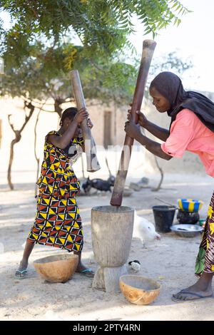 Ein junges Mädchen und ihre Mutter zerstoßen Hirse zu Mehl, zusammen mit einem Mörser und Stößeln in Segou Region, Mali, Westafrika. 2022 Dürre und Hungerkrise in Mali. Stockfoto