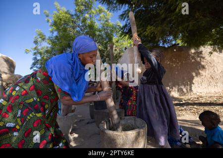 Ein junges Mädchen und ihre Mutter zerstoßen Hirse zu Mehl, zusammen mit einem Mörser und Stößeln in Segou Region, Mali, Westafrika. 2022 Dürre und Hungerkrise in Mali. Stockfoto