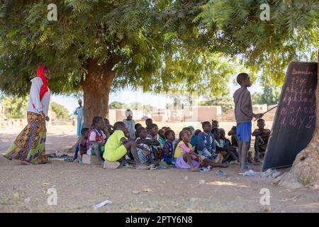 Die Grundschule findet unter einem Baum in der Region Segou, Mali, Westafrika statt. 2022 Dürre und Hungerkrise in Mali. Stockfoto