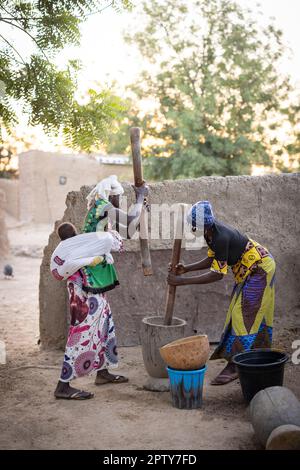 Junge Frauen - eine, die ein Baby auf dem Rücken trägt - arbeiten zusammen, um Hirsenmehl mit Mörser und Stößel in der Region Segou, Mali, Westafrika, zu mahlen. 2022 Dürre und Hungerkrise in Mali. Stockfoto