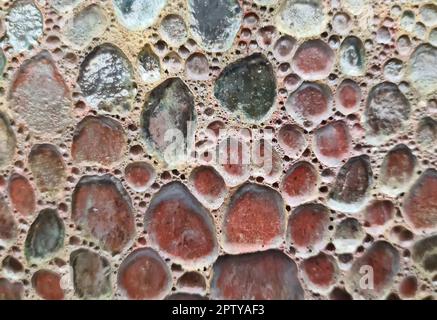 Detaillierter Blick auf veraltete Betonwände von verschiedenen modernen und hostorischen Gebäuden mit Rissen und vielen Strukturen in hoher Auflösung Stockfoto