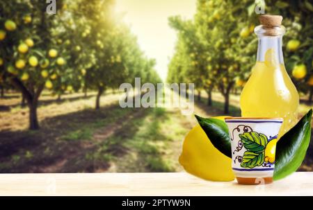 Traditioneller hausgemachter Zitronenlikör Limoncello und frische Zitrusfrüchte, selektiver Fokus auf ein Zitronenfeld im Hintergrund an einem sonnigen Tag. Vorderansicht. Horizontal Stockfoto