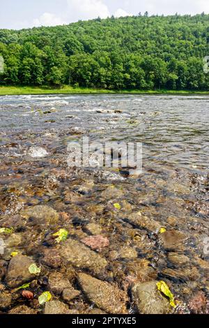 Pennsylvania Appalachian Mountains Pocono Mountains Delaware River, klares Wasser, glatte Steine, Stockfoto