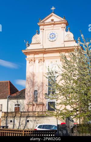 Mauerbach: Mauerbacher Charterhouse, Karthuserkirche, Blumenbaum in Wienerwald, Wienerwald, Niederösterreich, Niederösterreich, Österreich Stockfoto
