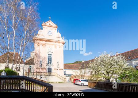 Mauerbach: Mauerbacher Charterhouse, Karthuserkirche, Blumenbaum in Wienerwald, Wienerwald, Niederösterreich, Niederösterreich, Österreich Stockfoto