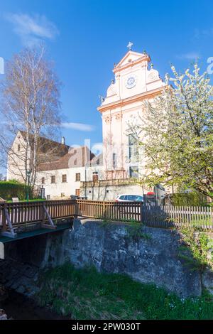 Mauerbach: Mauerbacher Charterhouse, Karthuserkirche, Blumenbaum in Wienerwald, Wienerwald, Niederösterreich, Niederösterreich, Österreich Stockfoto