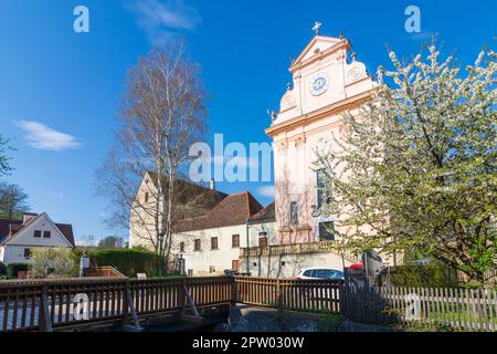 Mauerbach: Mauerbacher Charterhouse, Karthuserkirche, Blumenbaum in Wienerwald, Wienerwald, Niederösterreich, Niederösterreich, Österreich Stockfoto