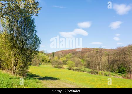 Mauerbach: das mauerbachtal in Wienerwald, Wienerwald, Niederösterreich, Niederösterreich, Österreich Stockfoto