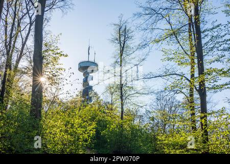 Tulbing: Hügel Tulbingerkogel, Aussichtsturm Leopold-Figl-Warte in Wienerwald, Wienerwald, Niederösterreich, Niederösterreich, Österreich Stockfoto