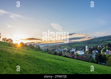 Klosterneuburg: Gemeinde und Wallfahrtskirche Maria Gugging, blühender Baum in Wienerwald, Wiener Wald, Niederösterreich, Niederösterreich, Niederösterreich, Österreich Stockfoto