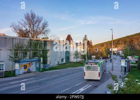 Klosterneuburg: Maria Gugging, Straße Hauptstraße, Bus in Wienerwald, Wienerwald, Niederösterreich, Niederösterreich, Österreich Stockfoto
