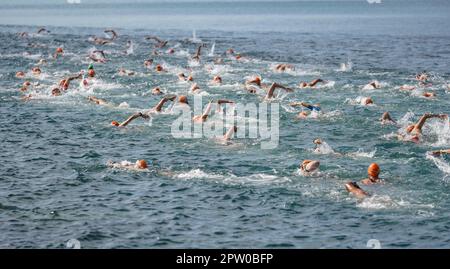 ISTANBUL, TURKIYE - 02. JULI 2022: Sportler, die während des Maltepe Water Sports Festivals in der Schwimmkomponente des Aquathlons gegeneinander antreten Stockfoto