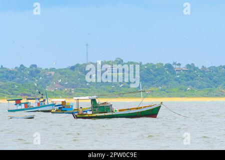 Kleine Fischerboote, die mitten im Meer in der Nähe des Strandes festgemacht sind und über denen Möwen fliegen. Coroa Vermelha Strandlandschaft, Santa Cruz Cabralia - B Stockfoto