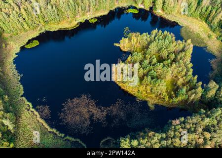 Luftaufnahme eines runden Sees in einem wilden Wald, einer Insel in der Mitte des Sees, die mit Wald überwuchert ist Stockfoto