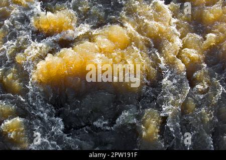 Das schräge Sonnenlicht scheint durch das sprudelnde Wasser eines Flusses mit Stromschnellen Stockfoto