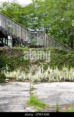 Vergessene verlassene Mauer und Treppen Stockfoto