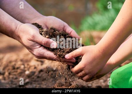 Generationen teilen sich die Erde. Vater, der seinem Sohn Erde anbietet, auf einer Gemüseplantage Stockfoto