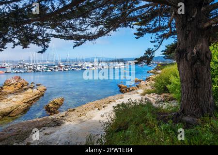 Der historische Hafen von Monterey und der Yachthafen befinden sich in der Monterey Bay, Kalifornien Stockfoto